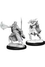 WizKids D&D Nolzur's MUM: W15 Winter & Spring Eladrin