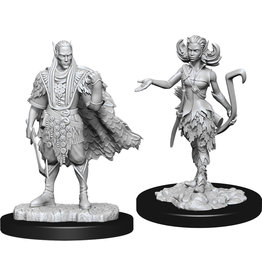WizKids D&D Nolzur's MUM: W15 Autumn & Summer Eladrin
