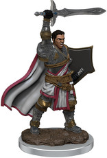 WizKids D&D ICR Premium W7 Male Human Paladin