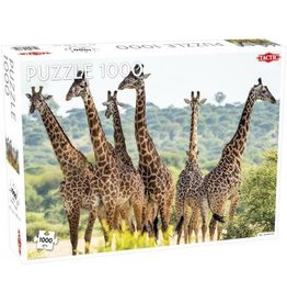 Tactic USA Puzzle: Animals: Tall Giraffes 1000pc