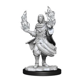 Wiz Kids Critical Role Unpainted Miniatures: W1 Hollow One Rogue and Sorceror Male