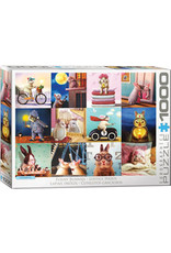 Eurographics Puzzle: Funny Bunnies