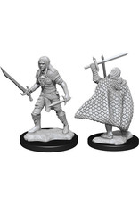 WizKids Pathfinder DC: Elf Fighter Male