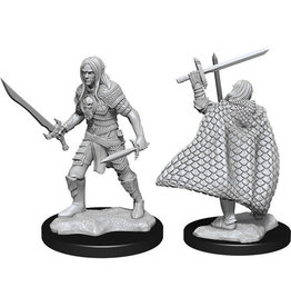 WizKids Pathfinder DC: Elf Fighter Male