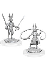 WizKids D&D Nolzur's MUM: W17 Harengon Rogues