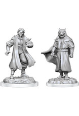 WizKids Critical Role : W03 Male Human Sorcerer Merchant & Tiger Demon