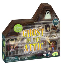 Mindware Ghost in the Attic Cooperative Game (Limited)