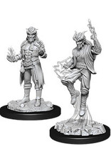 WizKids D&D Nolzur's MUM: W12 Male Tiefling Sorcerer