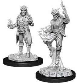 WizKids D&D Nolzur's MUM: W12 Male Tiefling Sorcerer