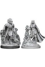 WizKids D&D Nolzur's MUM: W12 Female Tiefling Sorcerer