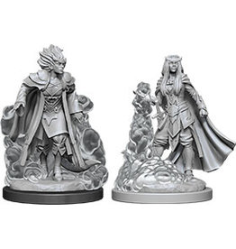 WizKids D&D Nolzur's MUM: W12 Female Tiefling Sorcerer