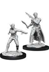 WizKids D&D Nolzur's MUM: W13 Shifter Rogue Female LTD