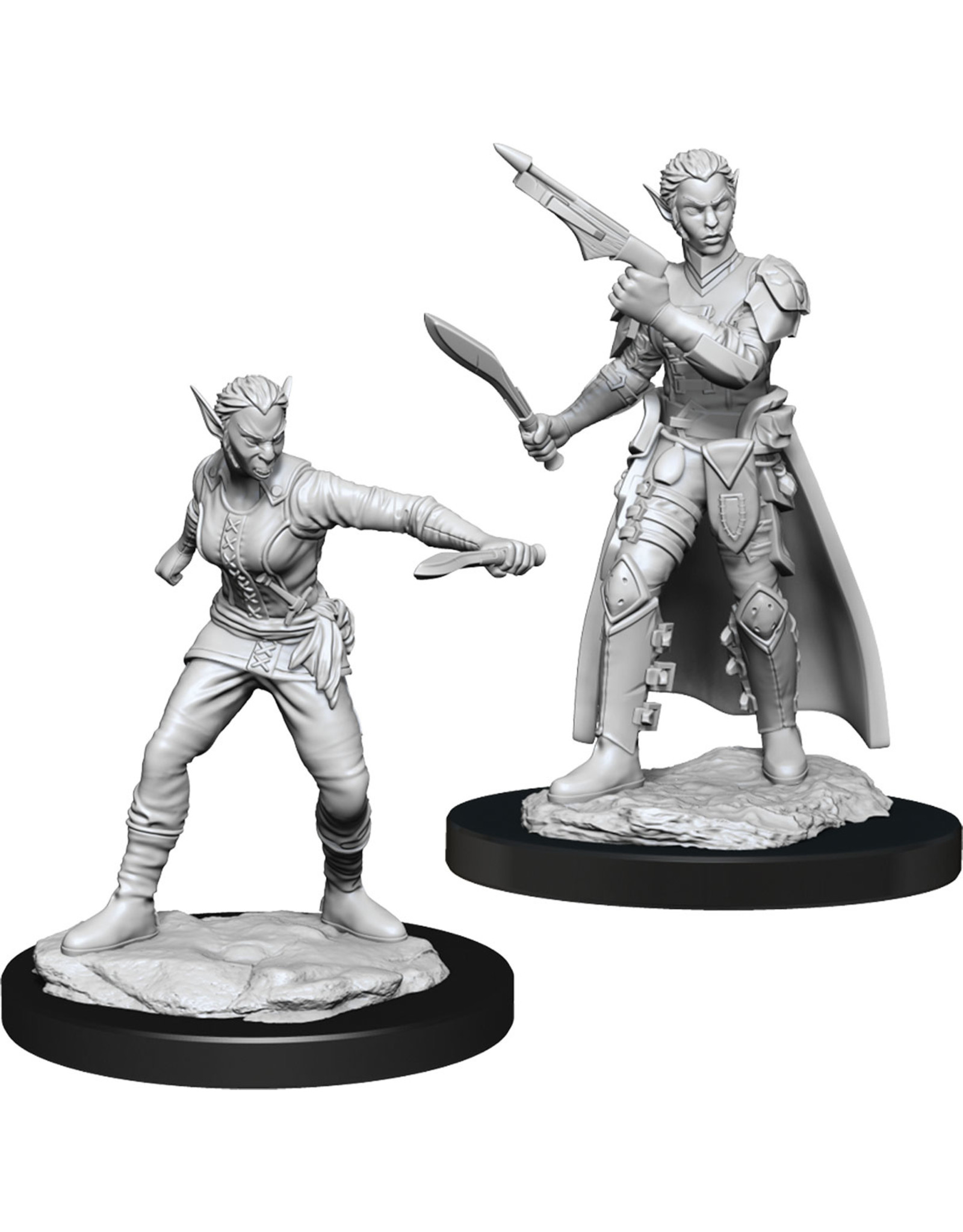 WizKids D&D Nolzur's MUM: W13 Shifter Rogue Female LTD