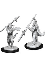 WizKids D&D: NMU: W13 Bearded Devils