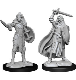 WizKids Pathfinder DC : W14 Human Champion Female