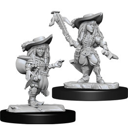WizKids Pathfinder DC : W15 Gnome Bard Female