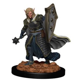 WizKids D&D: ICR Premium W02 Elf Male Cleric