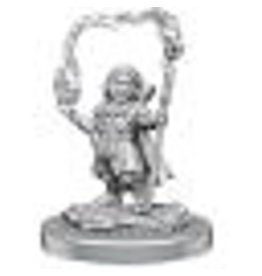 WizKids D&D Nolzurs MUM: W20 Halfling Wizards