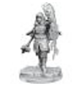 WizKids D&D Nolzurs MUM: W20 Half-Elf Warlock