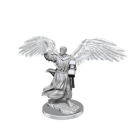 WizKids D&D Nolzur's MUM: W20 Aasimar Cleric Male