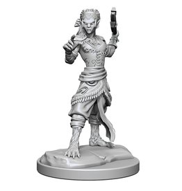 WizKids D&D Nolzur's MUM: W20 Shifter Fighter