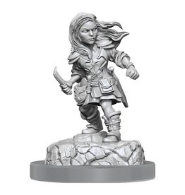 WizKids D&D Nolzurs MUM: W20 Halfling Rogue Female