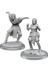 WizKids Pathfinder Deep Cuts: W21 Half-Elf Monk Females
