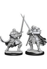 WizKids D&D Nolzur's MUM: W15 Half-Orc Paladin Male