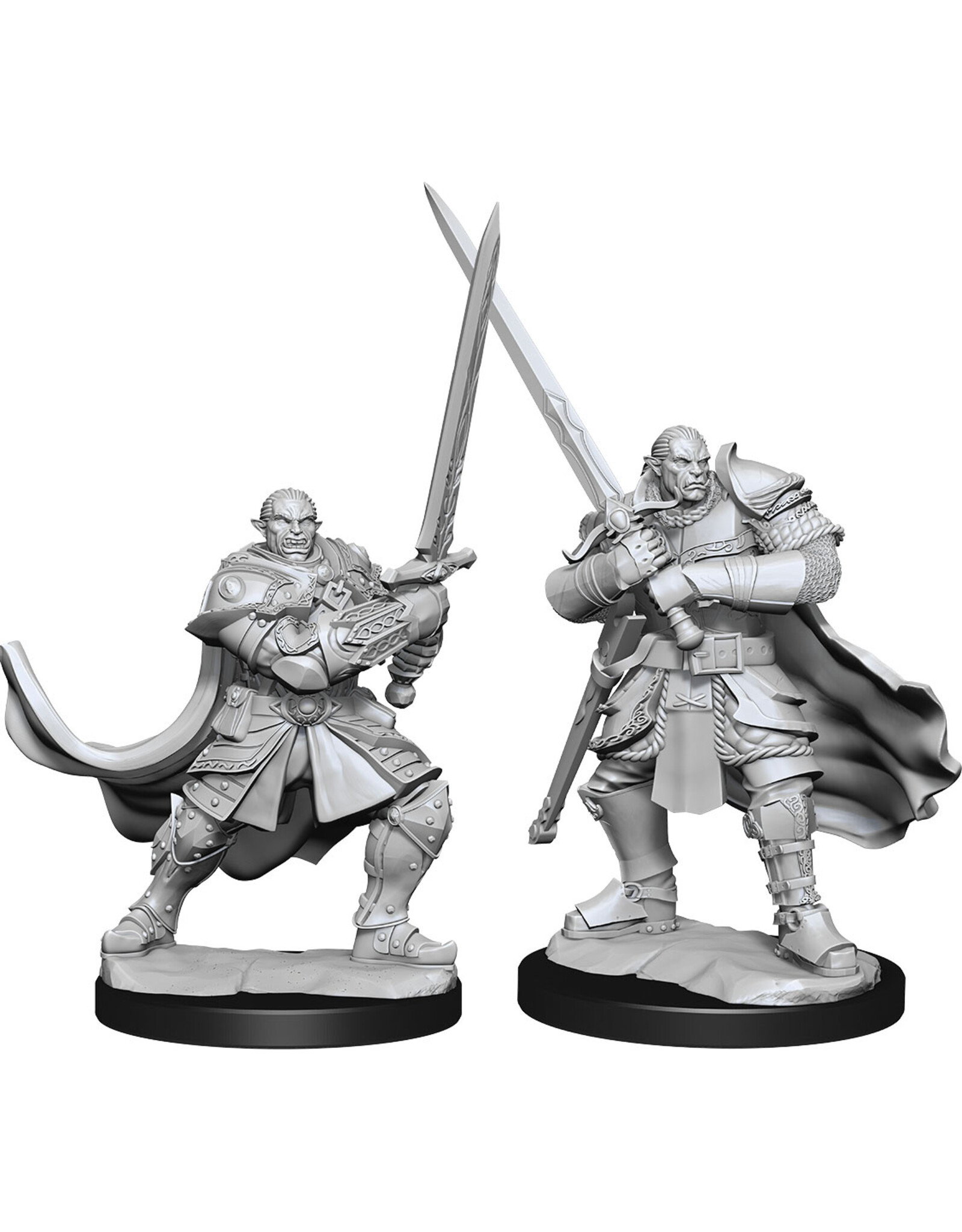WizKids D&D Nolzur's MUM: W15 Half-Orc Paladin Male