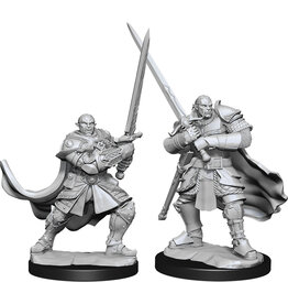 WizKids D&D Nolzur's MUM: W15 Half-Orc Paladin Male