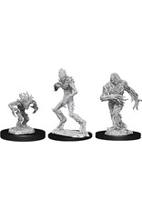 WizKids D&D Nolzur's MUM: Blights W7