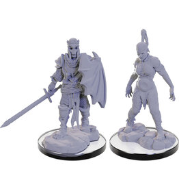 WizKids Pathfinder DC: W22 Plague Zombie & Skeletal Champion
