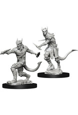 WizKids D&D Nolzur's MUM: Tiefling Male Rogue
