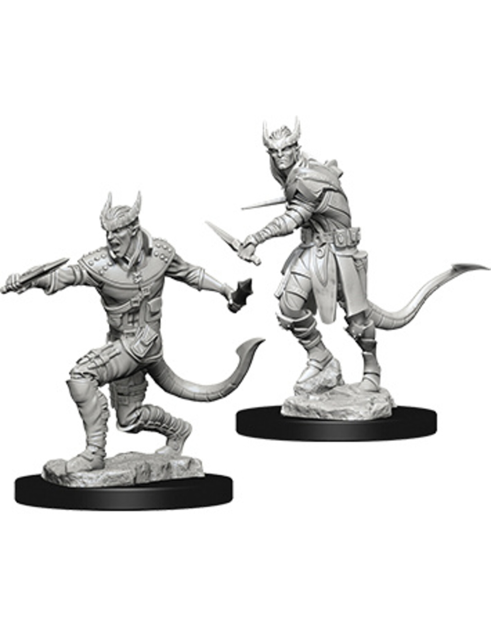 WizKids D&D Nolzur's MUM: Tiefling Male Rogue