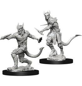 WizKids D&D Nolzur's MUM: Tiefling Male Rogue