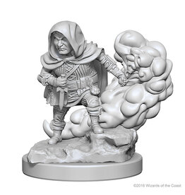 WizKids D&D Nolzur's MUM: Halfling Male Rogue