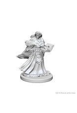 WizKids D&D NMU: Human Female Wizard