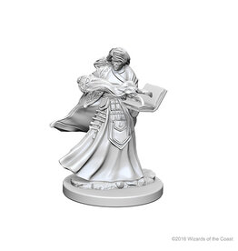 WizKids D&D Nolzur's MUM: Human Female Wizard