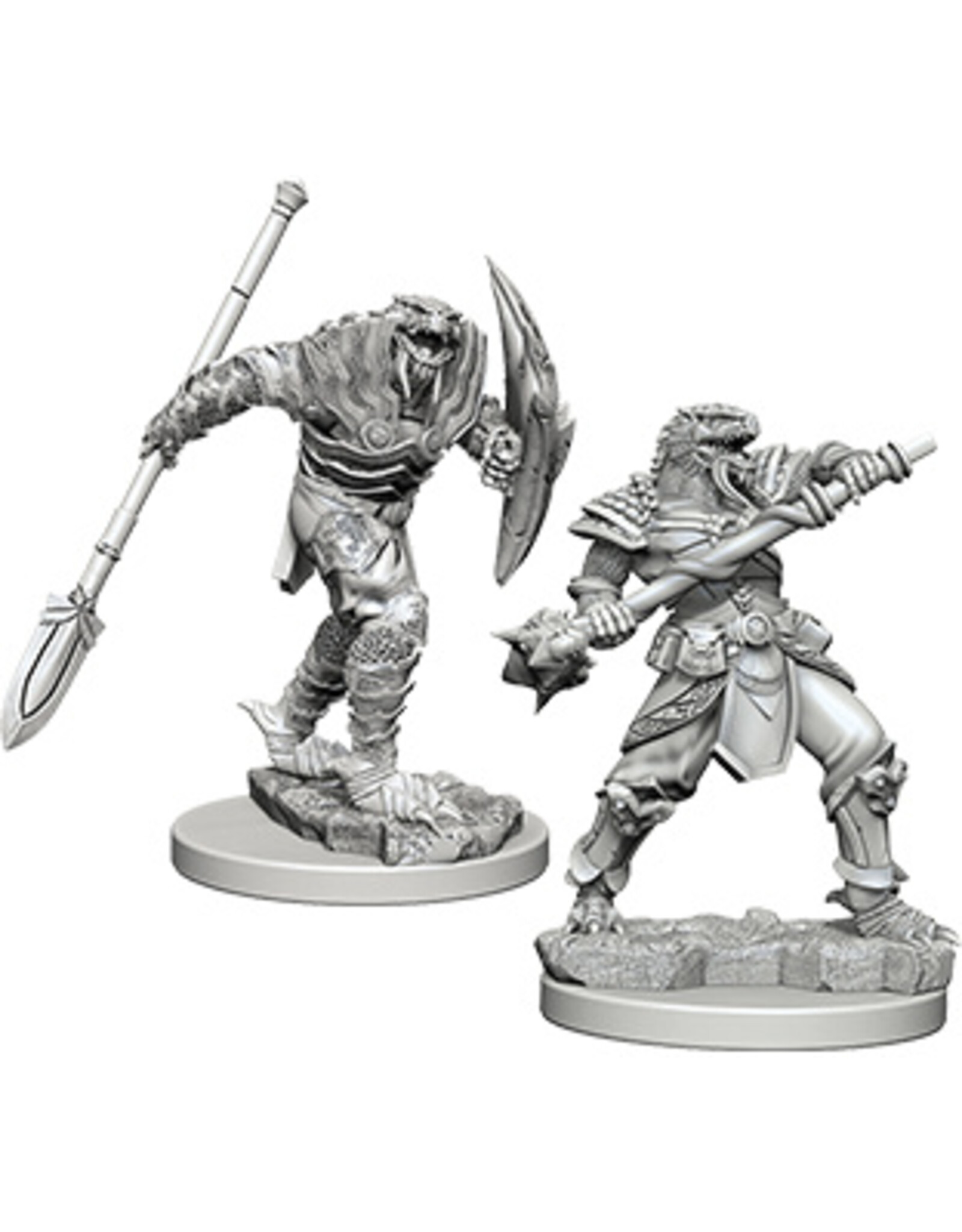 WizKids D&D Nolzur's MUM: Dragonborn Male Fighter Spear