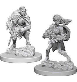 WizKids D&D Nolzur's MUM: Drow W4