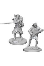 WizKids D&D Nolzur's MUM: Human Male Bard W4
