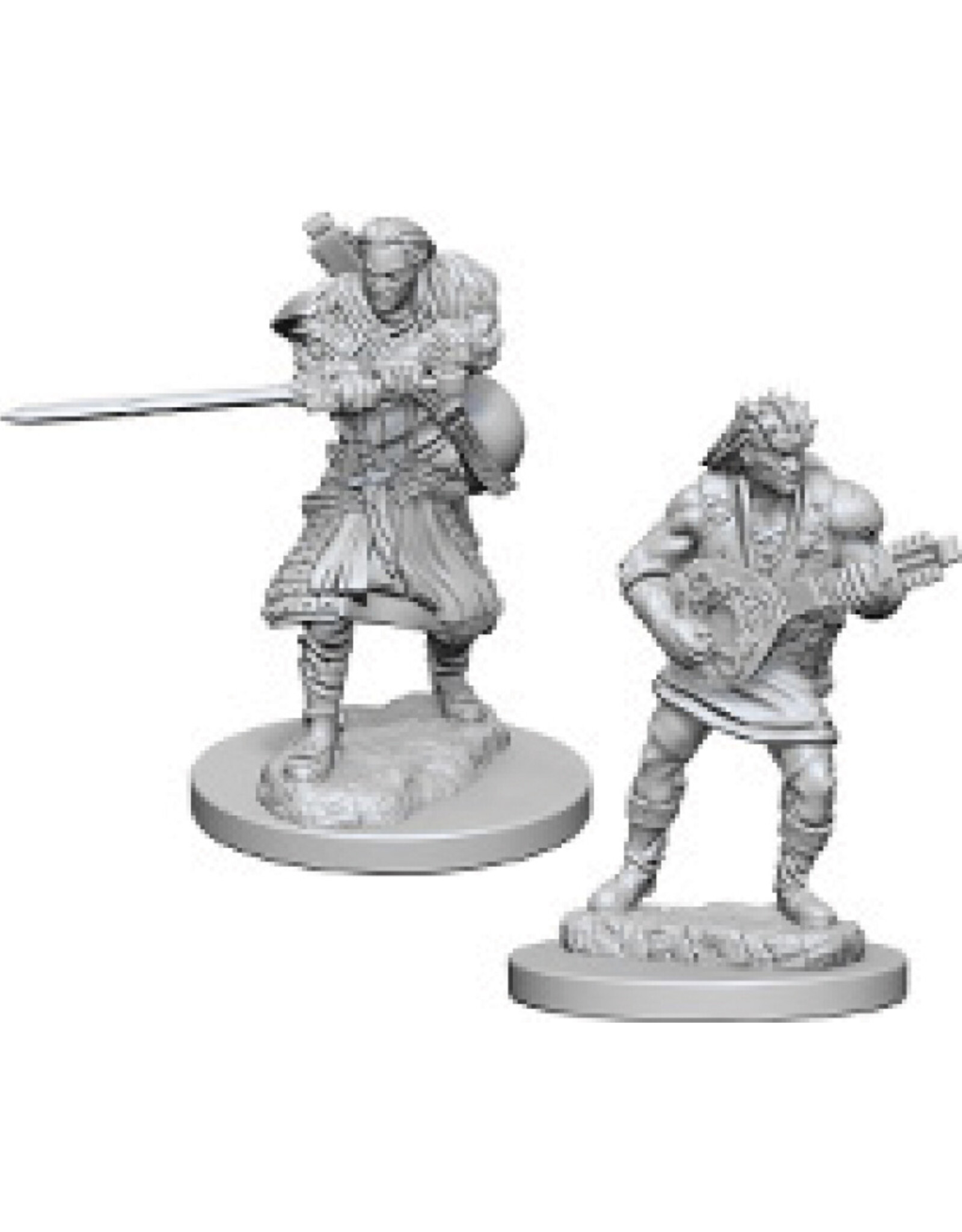 WizKids D&D Nolzur's MUM: Human Male Bard W4