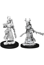 WizKids D&D Nolzur's MUM: W9 Female Human Druid