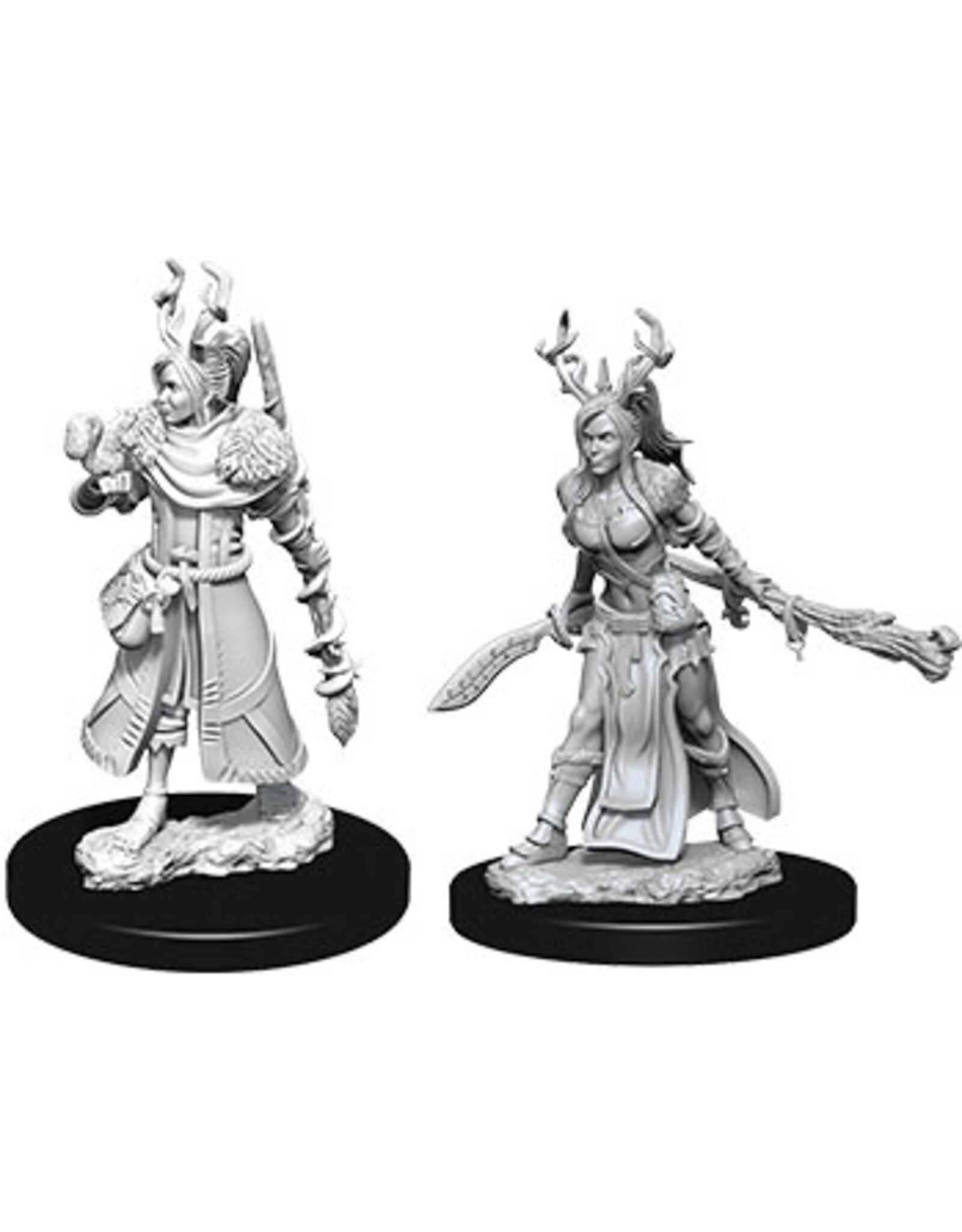 WizKids D&D Nolzur's MUM: W9 Female Human Druid