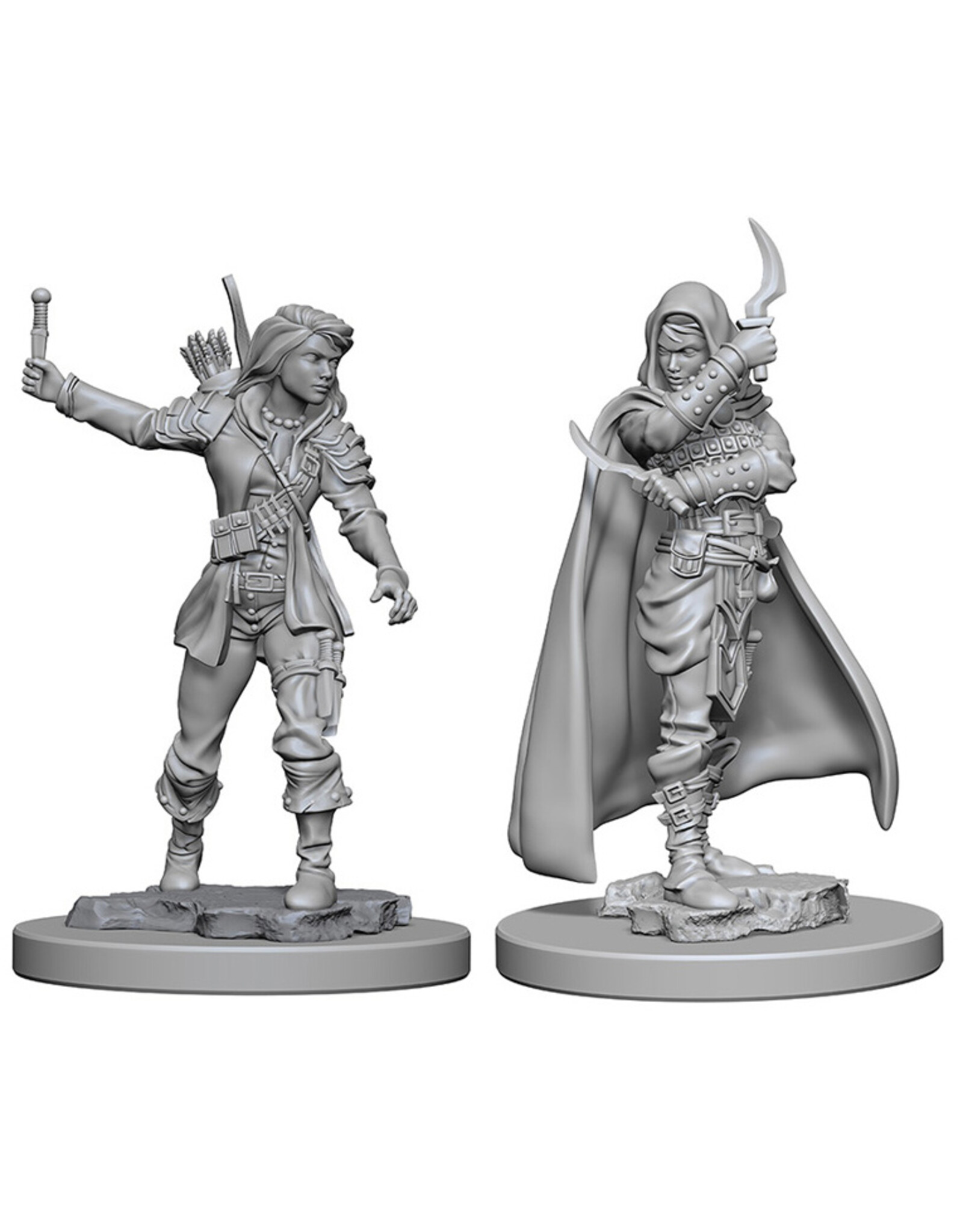 WizKids Pathfinder Deep Cuts Unpainted Miniatures: W01 Human Female Rogue