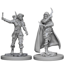 WizKids Pathfinder Deep Cuts Unpainted Miniatures: W01 Human Female Rogue