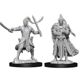 WizKids D&D Nolzur's MUM: W9 Male Elf Paladin