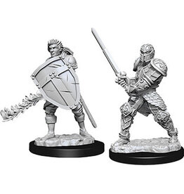 WizKids D&D Nolzur's MUM: W8 Male Human Fighter