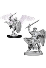 WizKids D&D Nolzur's MUM: Aasimar Male Paladin