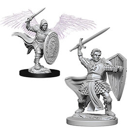 WizKids D&D Nolzur's MUM: Aasimar Male Paladin